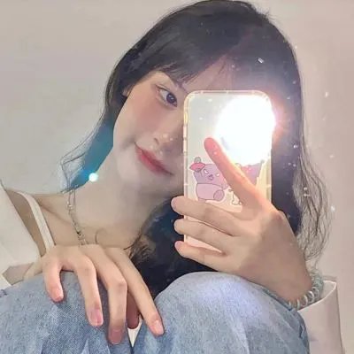 菊石